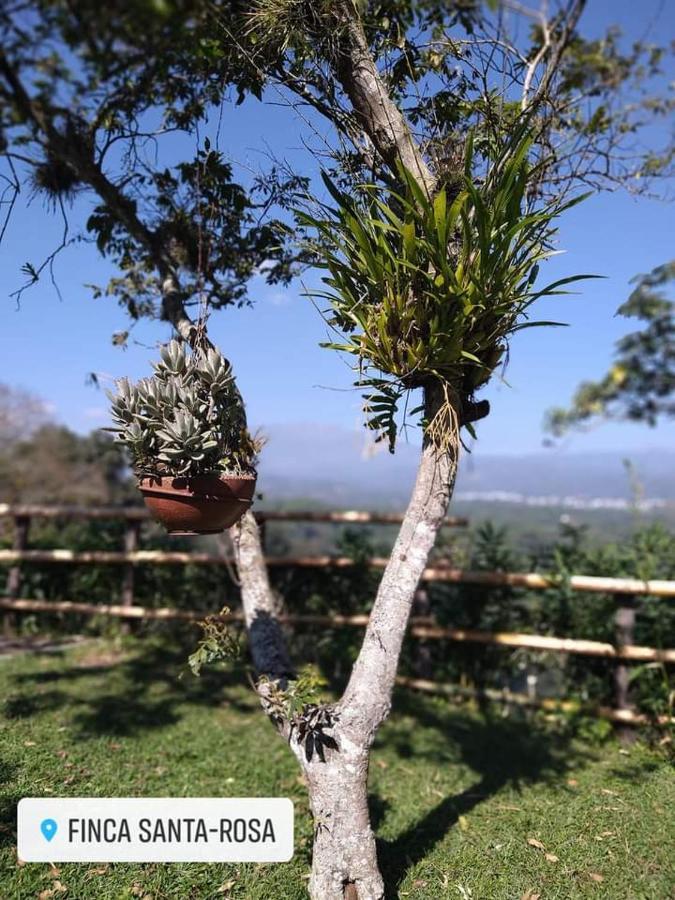 Finca Santa Rosa เตโอเซโล ภายนอก รูปภาพ