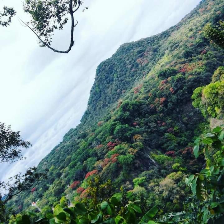 Finca Santa Rosa เตโอเซโล ภายนอก รูปภาพ